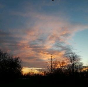 Meet your Posher, Ruth